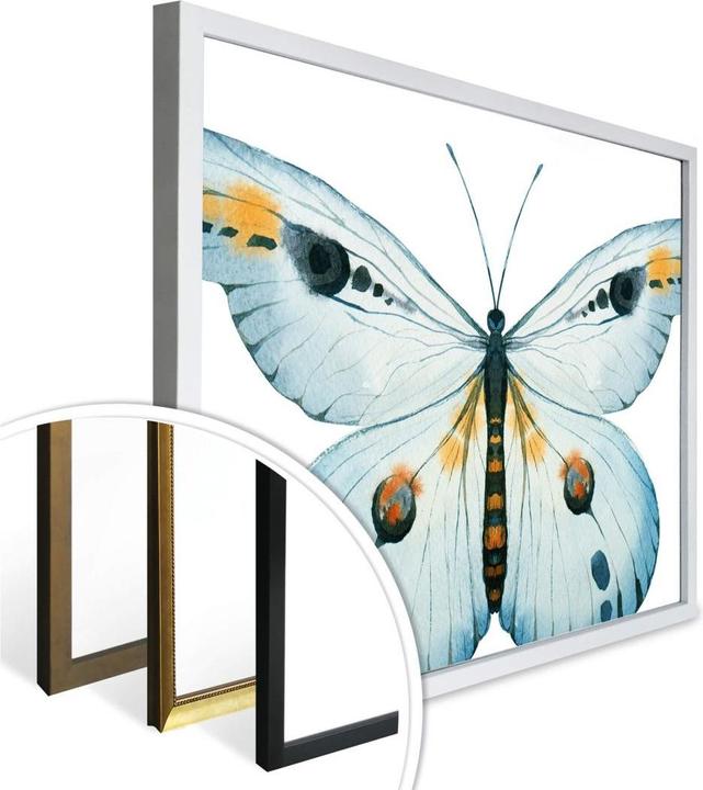 Immagine prodotto Trenddeko Kvilis - Farfalla 03 (40 x 30 cm)