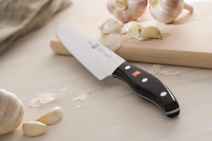 Actual product image Zwilling Twin Pollux (20 cm)