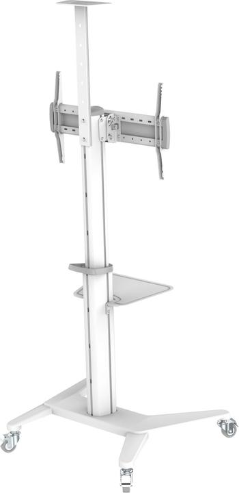 Image du produit PureMounts Chariot TV PDS-0003C DS, blanc (Universel, 70", 70 kg)