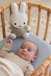 Image du produit Smiffys Miffy Doudou 25cm Fluffy green (25 cm)