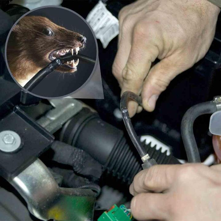 Produktbild Gardigo Marderabwehr