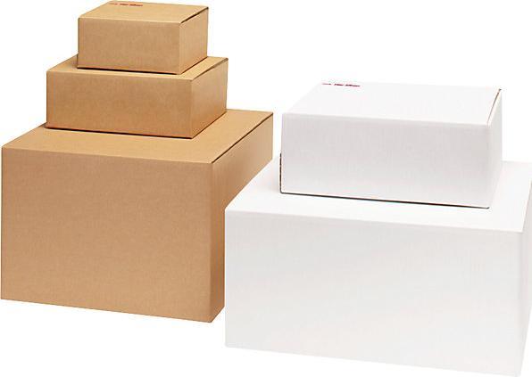 Image du produit Ratioform Carton rapide Speedbox, simple cannelure, L x l x h 430 x 300 x 200 mm, A3 (A3, 1 x)