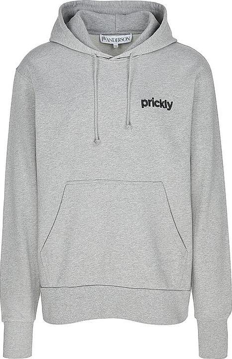 Actual product image Jw Anderson Hooded jumper (M)