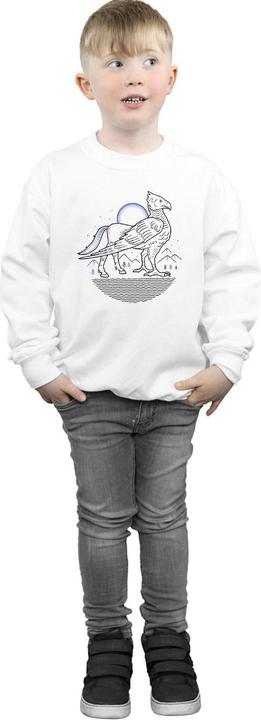 Actual product image Boys Buckbeak Line Art Sweatshirt (140, 146)