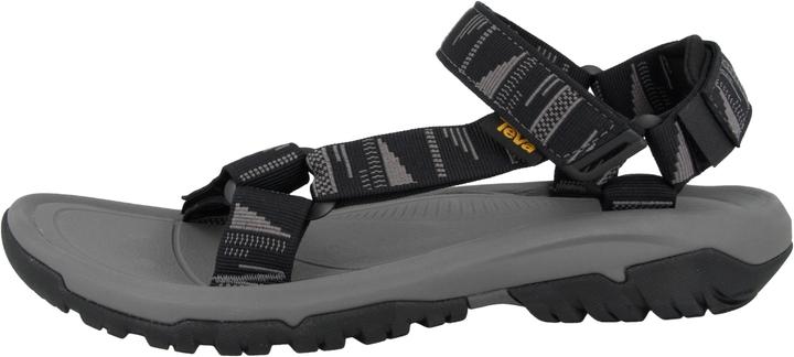 Chara black-grey