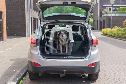 Actual product image Karlie Nomad (Dog, Cat, Lockable)