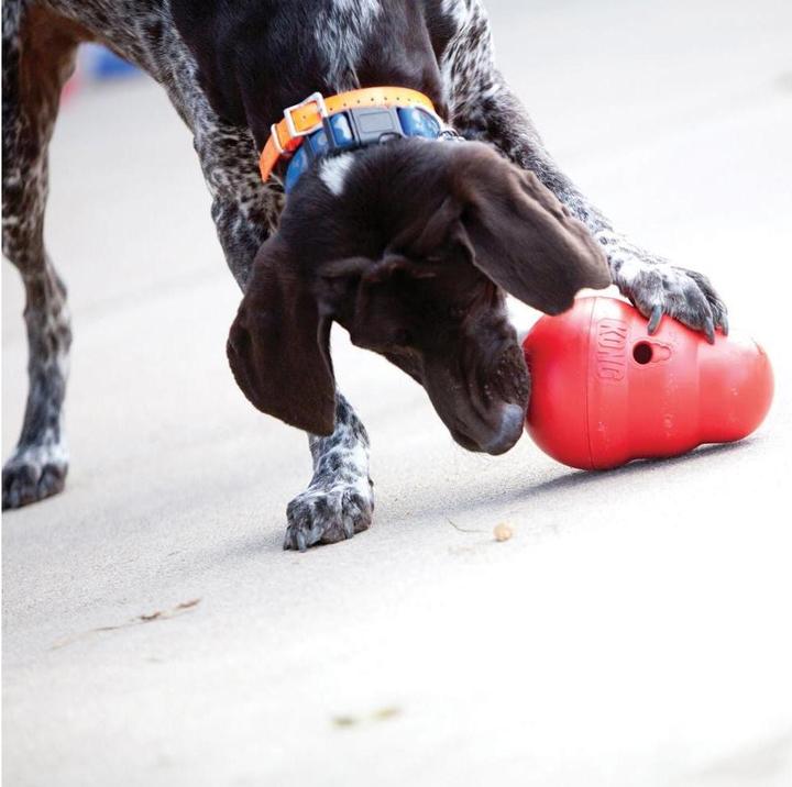 Actual product image KONG Wobbler (Dog food toy)