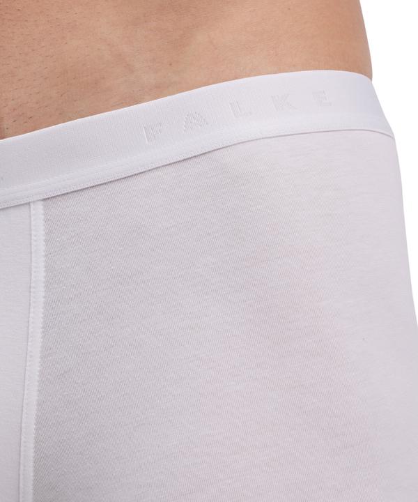 Produktbild Falke Herren (S)