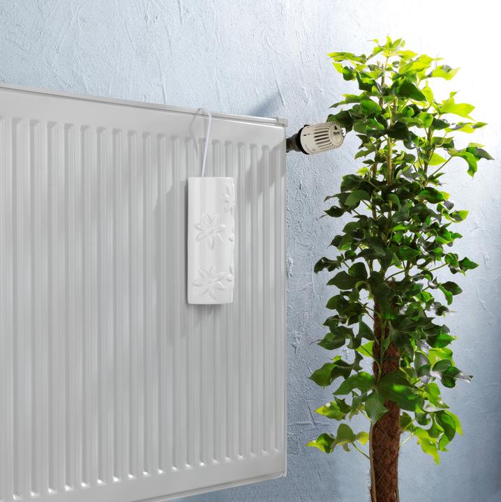Actual product image Wenko Flowers