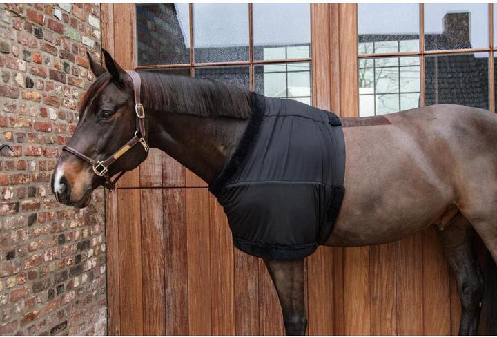 Image du produit Kentucky Horsewear Protège-poitrine