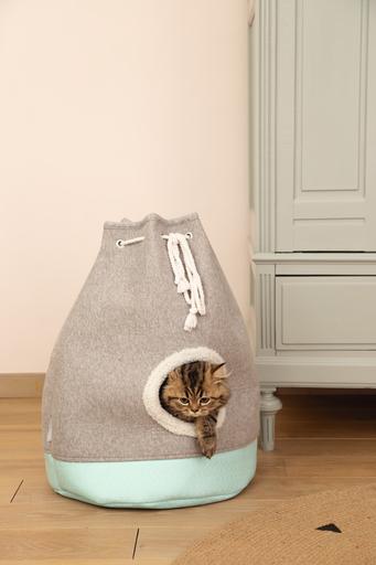 Immagine prodotto Beeztees Gattini casa del gatto Flo (Gatto)