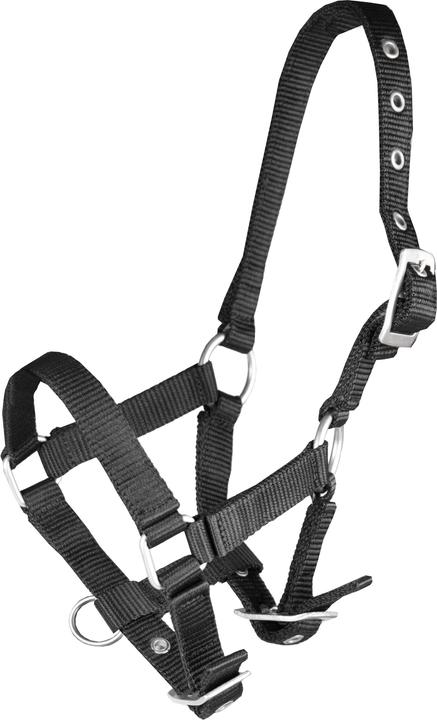 Image du produit Horka Licol pour cheval poulain