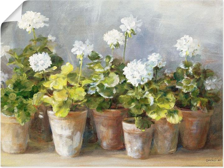 Produktbild Artland Weisse Geranien B2HY (80 x 60 cm)