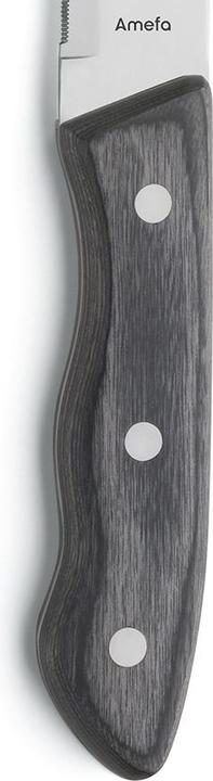 Actual product image Amefa Hercule (4 Piece, Knife)