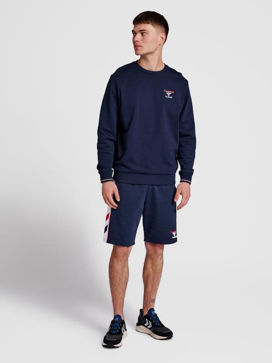 Actual product image hummel Ic Dayton Sweatshirt (S)