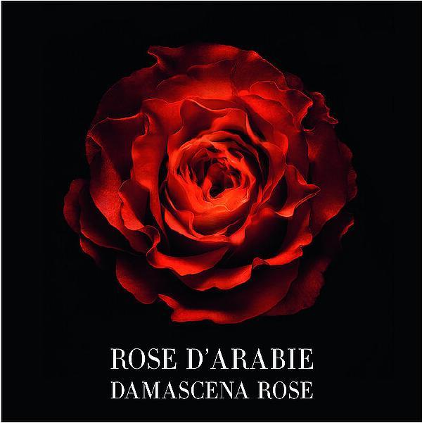Image du produit Giorgio Armani Privé Rose d'Arabie Intense (Eau de parfum, 100 ml)