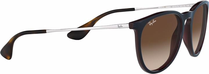 Image du produit Ray Ban Erika