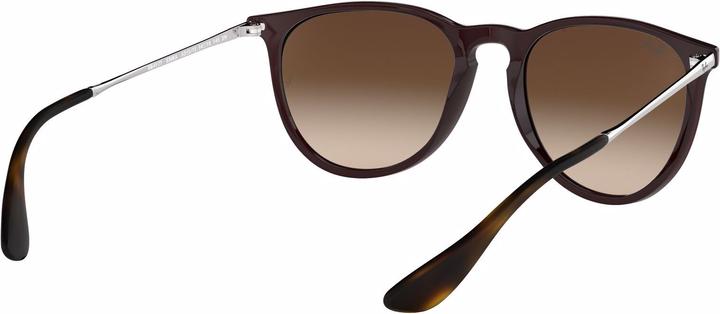 Image du produit Ray Ban Erika