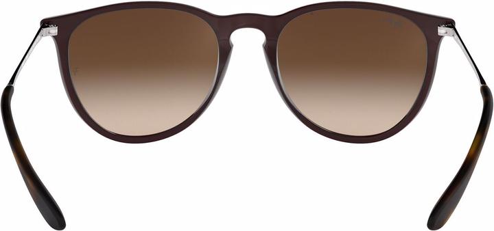 Image du produit Ray Ban Erika