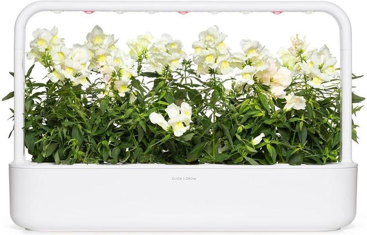 Image du produit Click and Grow Semences de gueules-de-loup blanches pack de 3