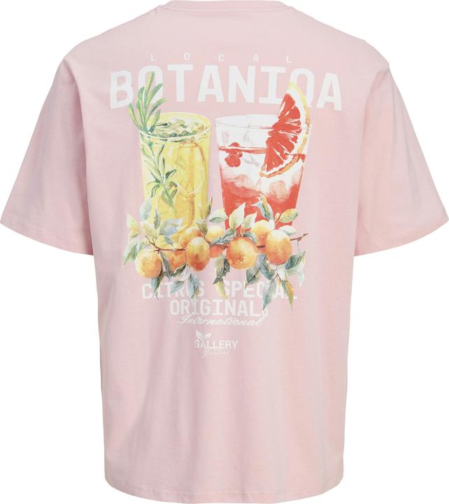 Actual product image Jack & Jones Jorbotaniq Tee Ss Crew Neck Tg Ln (XXL)