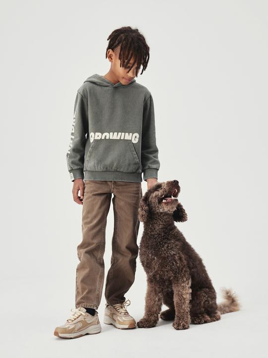 Produktbild Name it Bio-Baumwoll Hoodie (116)