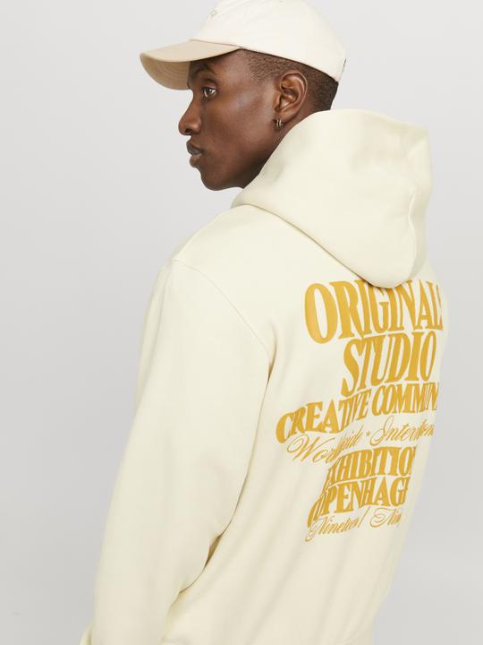 Image du produit Jack & Jones Jorroxbury Back Sweat Hood Ln (M)