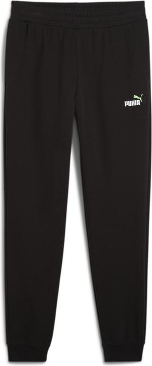 PUMA Black-spring fern