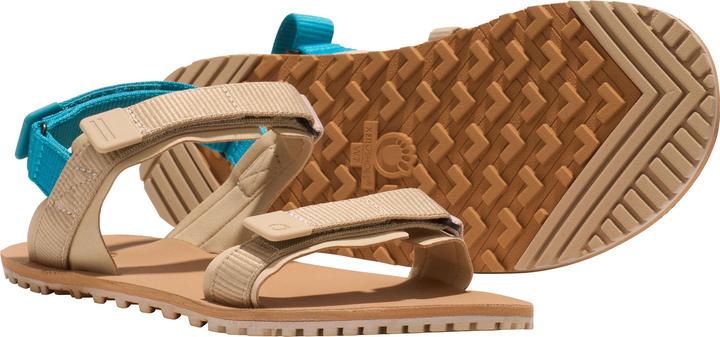 Actual product image Xero Shoes D-Trail (36.5)