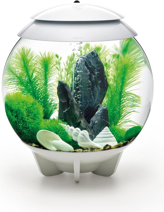 Immagine prodotto Oase Set di decorazioni per l'acquario biOrb 30 (Decorazione, altre voci)