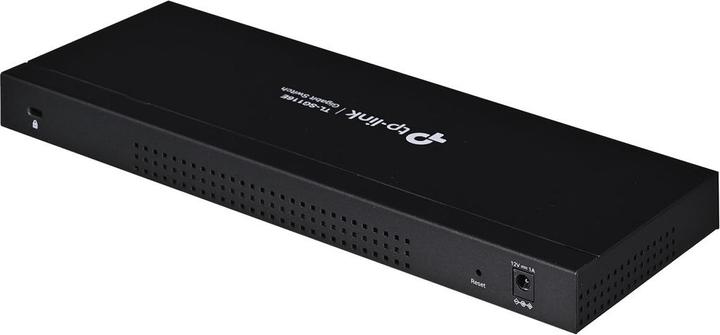 Actual product image TP-Link TL-SG116E (16 Ports)