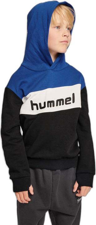 Immagine prodotto hummel Morten Hoodie (110)