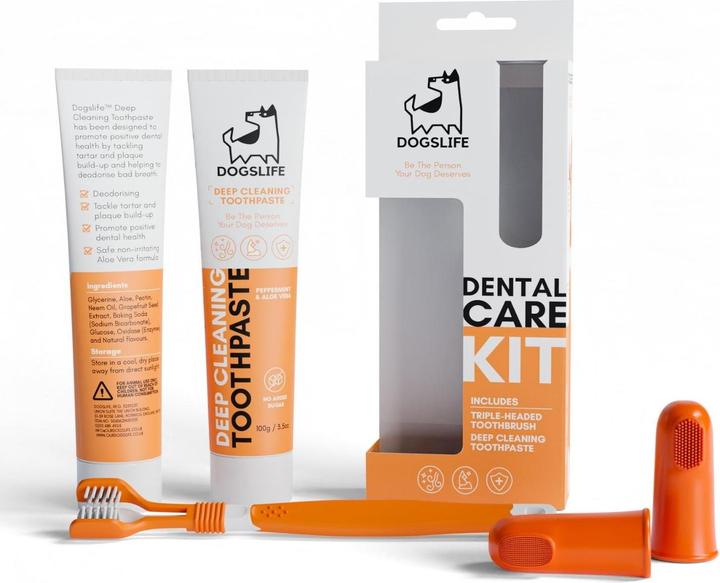 Produktbild DogsLife Zahnreinigung Dental Kit (Hund, 538.13 ml)