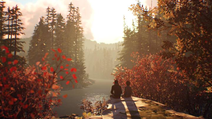 Actual product image Square Enix Life is Strange 2 PS4 (PS4, DE)