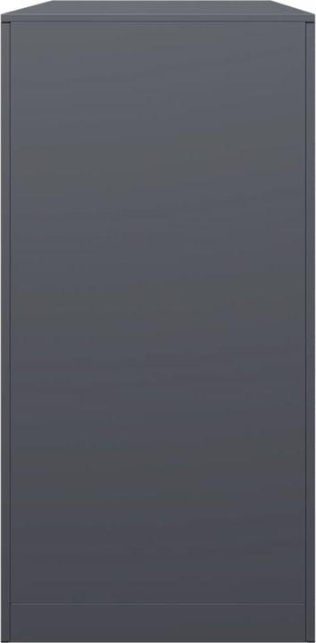 Actual product image VidaXL Liana (100 x 40 x 80 cm)
