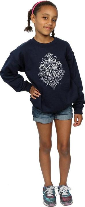 Produktbild Hogwarts Draco Dormiens Crest Sweatshirt Mädchen (140, 146)