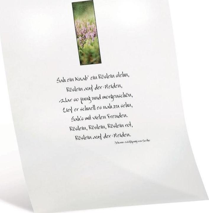 Produktbild Folia Transparentpapier extra stark weiss (115 g/m², A4, 10 x)