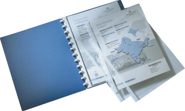 Image du produit Durable Pochettes pour classeurs à anneaux, pour DIN A4, 10 pièces (A4, 10 x)