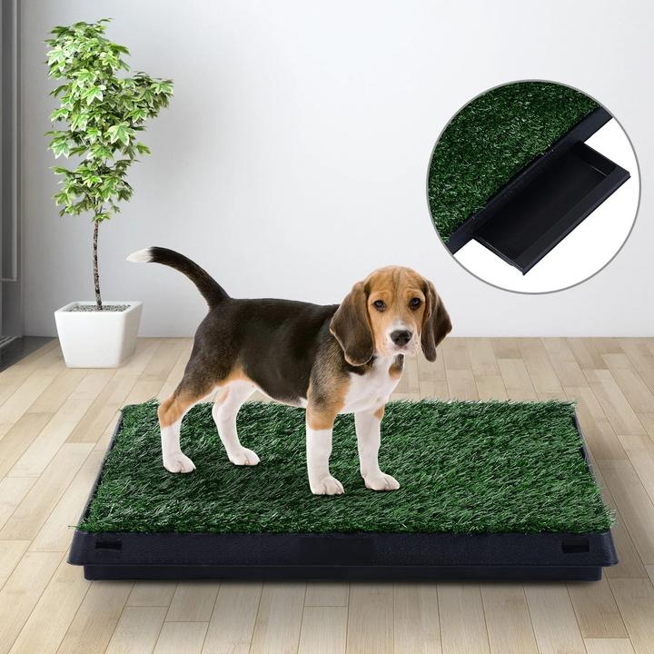 Actual product image Jamb Puppy toilet Dog toilet