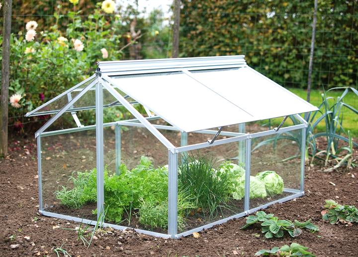 Actual product image Vitavia Gaia Jumbo