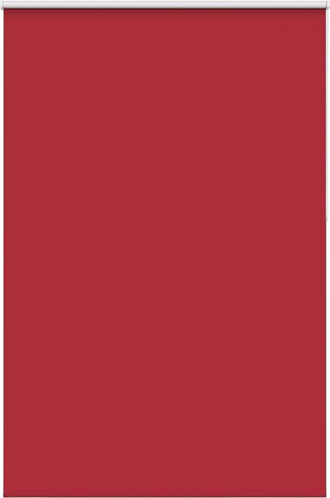 Rot