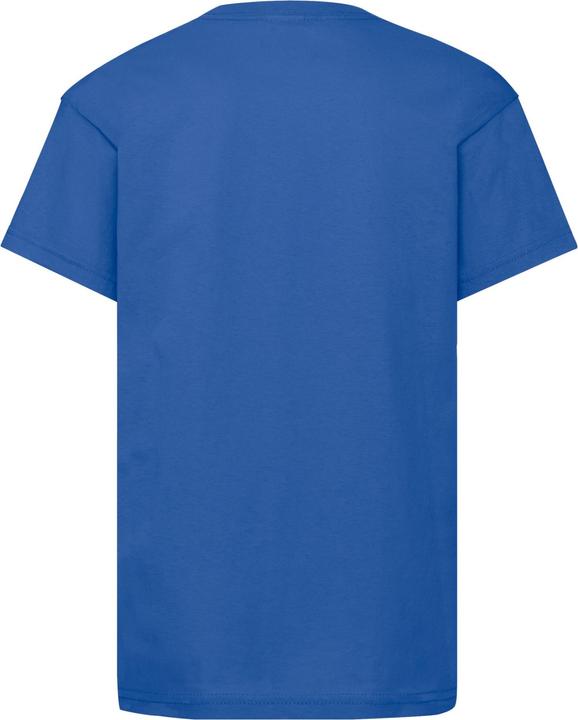 Actual product image Fruit of the Loom Childrens/Kids Original T-Shirt (104)