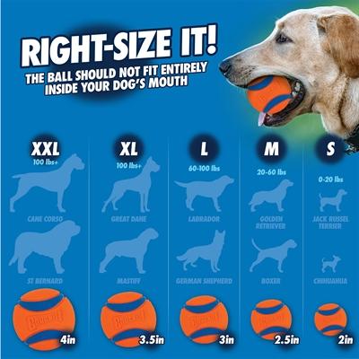 Image du produit Chuckit! Balles en caoutchouc (Jouet à mâcher pour chien)