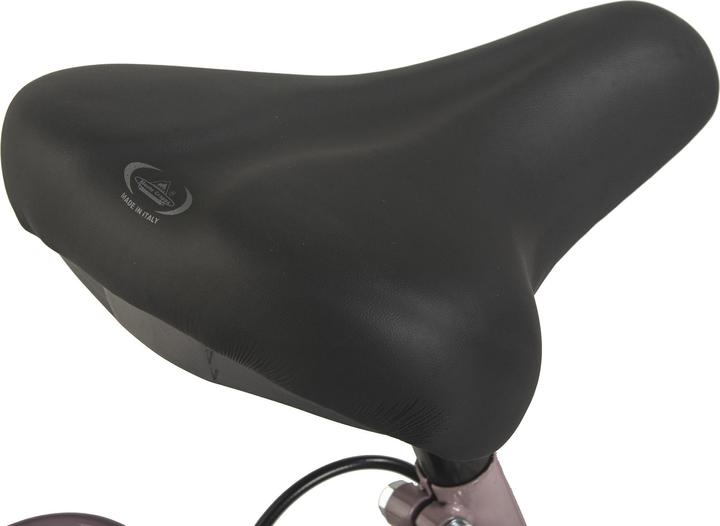 Immagine prodotto Hollandia Bicicletta olandese da donna 28" City Next RH 50 cm 6 marce (50 cm)