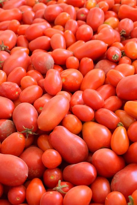 Immagine prodotto Living Seeds Pomodoro, Roma VF (Semi di verdura)