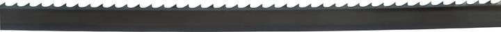 Actual product image Werkstarck Band saw blades for DEWALT DW876 (ELU EBS 3601)