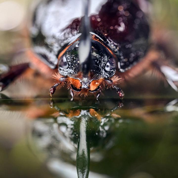 Actual product image Laowa 100mm f/2.8 Tilt Shift 1X Macro Lens Nikon Z