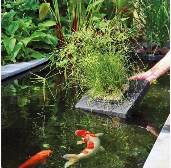 Image du produit Velda L'île flottante des plantes