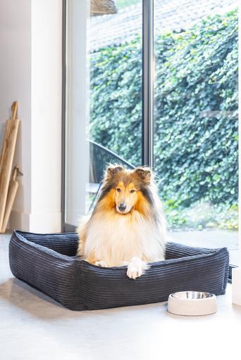 Image du produit Designed by Lotte Ribbed (Chien)