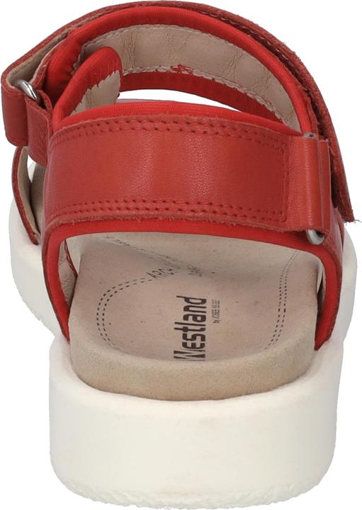 Actual product image Westland 25401-410 (38)